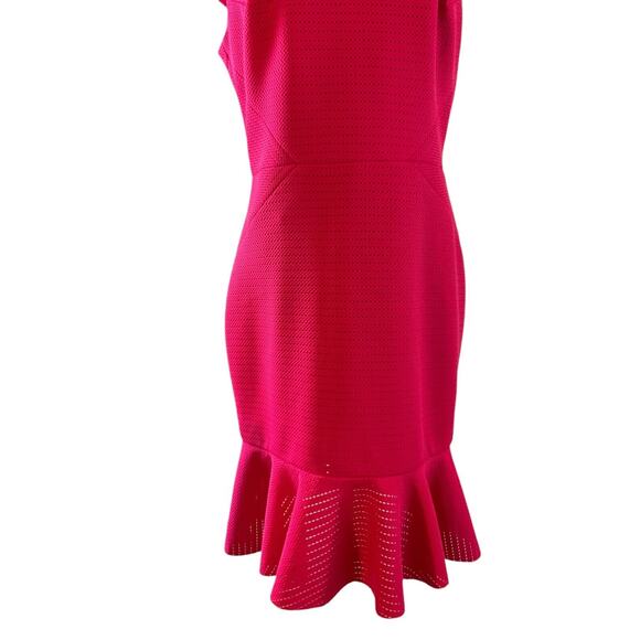 Caché Women's 10 Pink Textured Mesh Dress V Neck Cap Sleeve Fitted Mermaid Hem - Picture 10 of 12